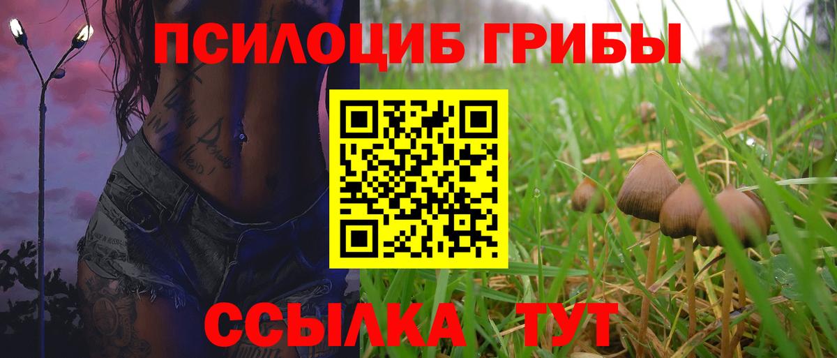 Галлюциногенные грибы GOLDEN TEACHER  Вход с VPN  Сорочинск  Псилоцибиновые грибы Cubensis 